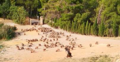 Viaje a Teruel con niños