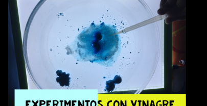 Experimentos con vinagre