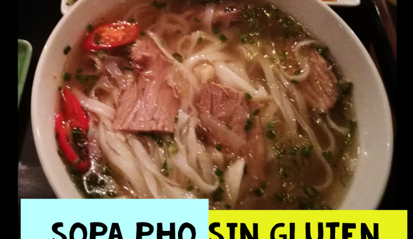 Sopa Pho vietnamita sin gluten