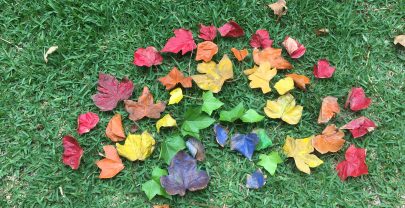 Land art para niños